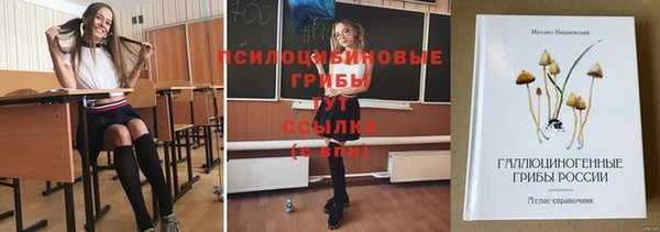 эйфоретик Покачи