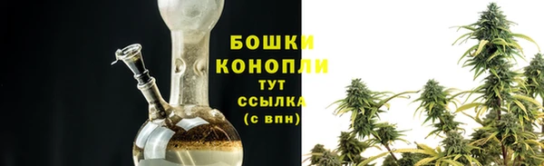 эйфоретик Покачи