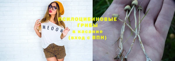 прущие крисы Покровск