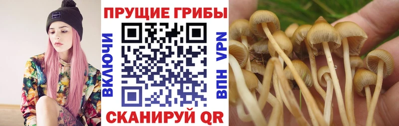 Псилоцибиновые грибы MAGIC MUSHROOMS  Купить закладки  Нижневартовск 